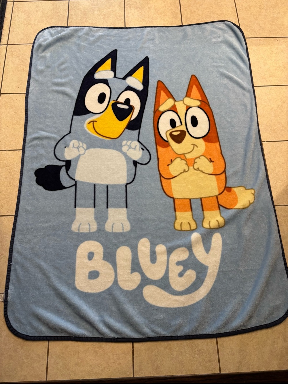 Jay Franco Bluey and Bingo Kids Throw Blanket